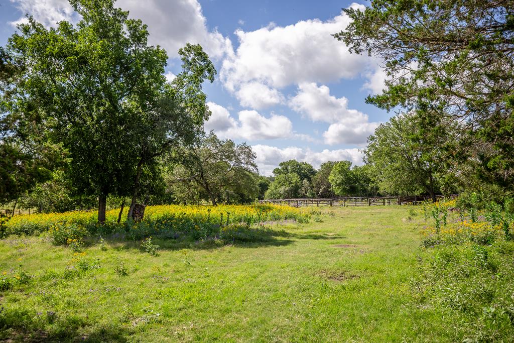 395 Bluff Creek Rd Property Photo 47