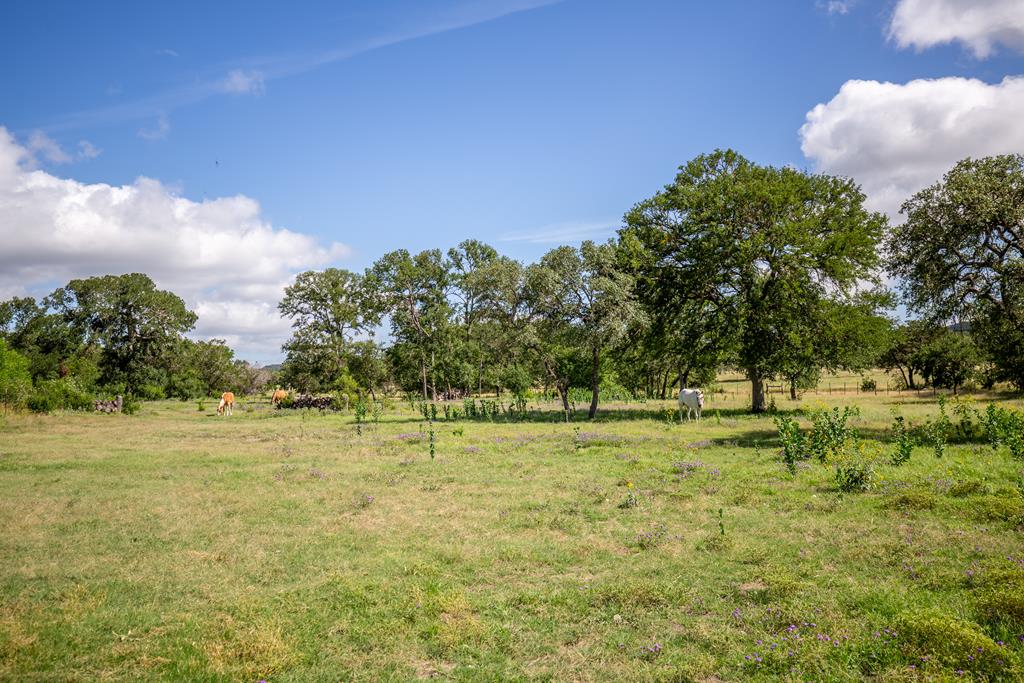 395 Bluff Creek Rd Property Photo 48