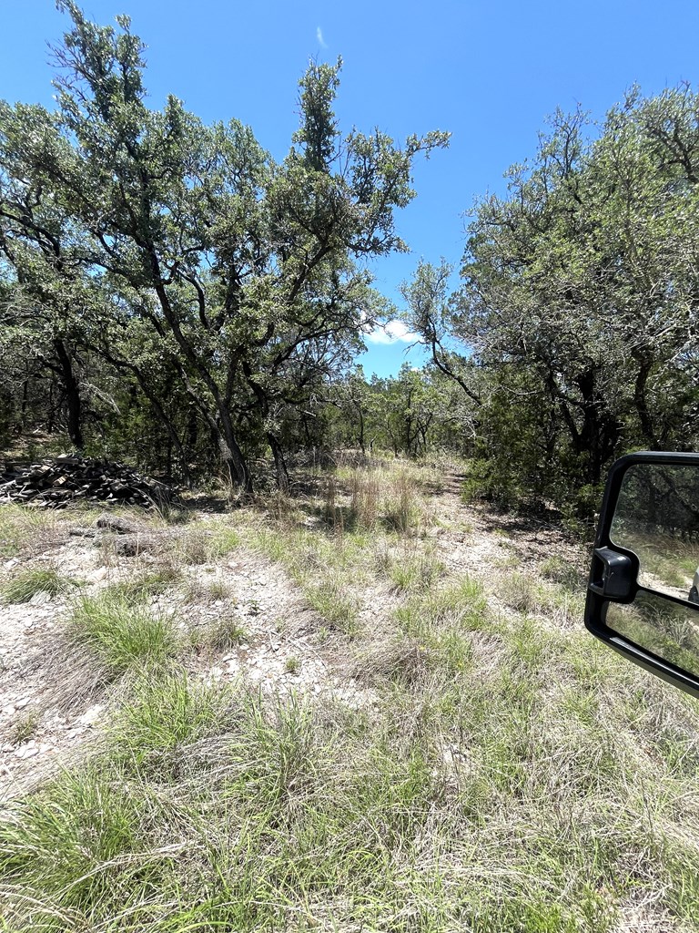 430 Fm 2748 # 2 Property Photo 6