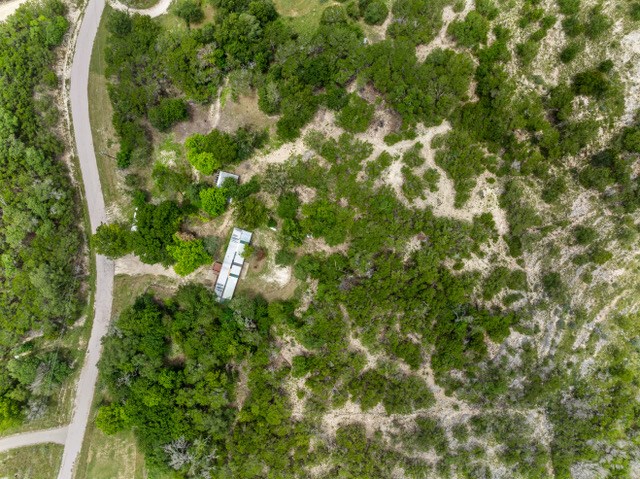 232 Codrington Property Photo 8