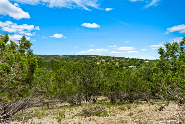 232 Codrington Property Photo 11