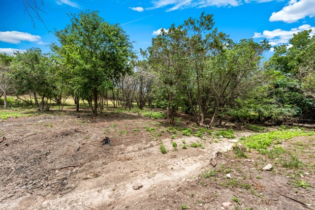 232 Codrington Property Photo 12