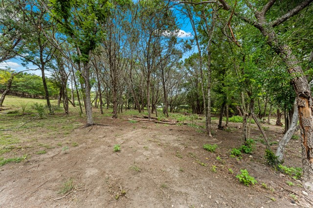 232 Codrington Property Photo 14