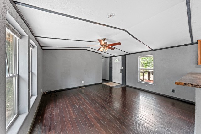 232 Codrington Property Photo 17