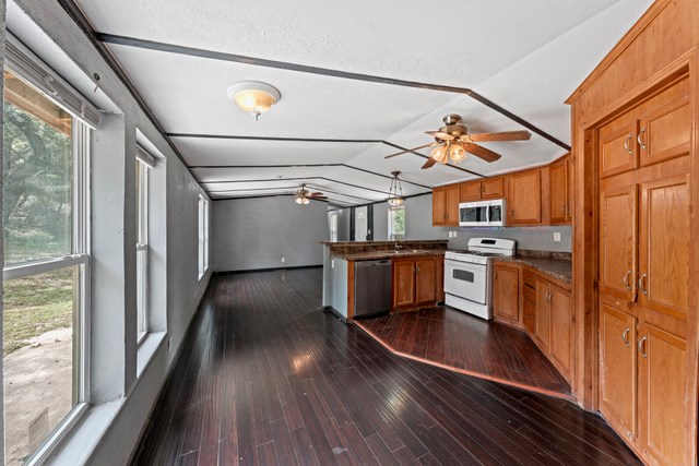 232 Codrington Property Photo 19
