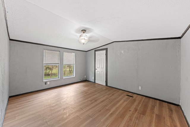 232 Codrington Property Photo 21