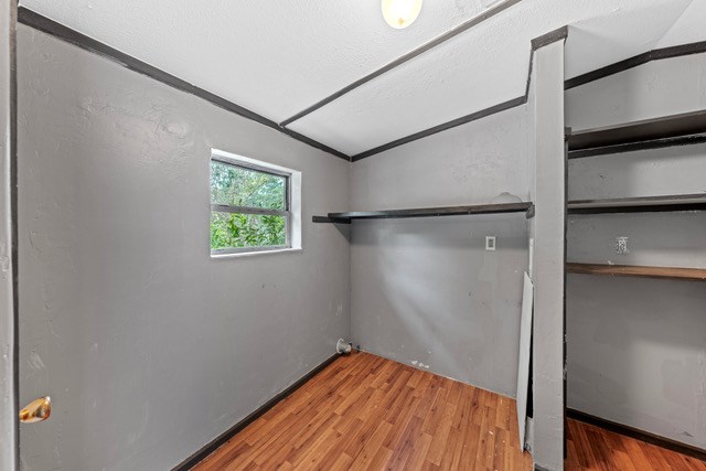 232 Codrington Property Photo 25