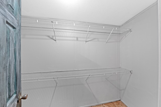 232 Codrington Property Photo 26