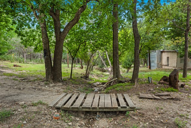 232 Codrington Property Photo 29