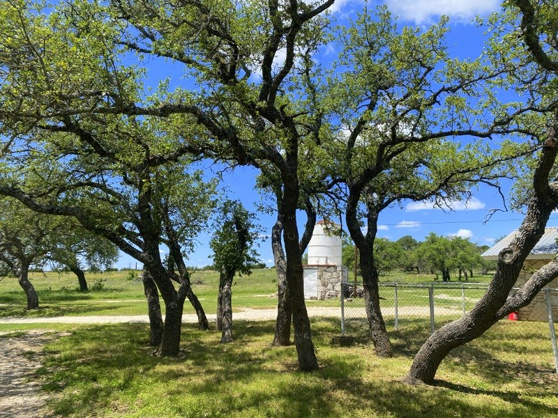 637 Fm 479 Property Photo 6