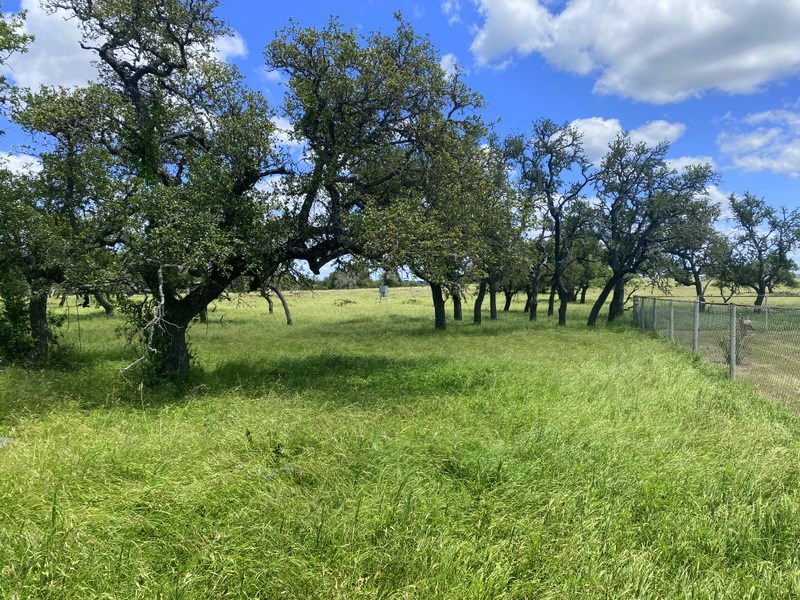 637 Fm 479 Property Photo 13