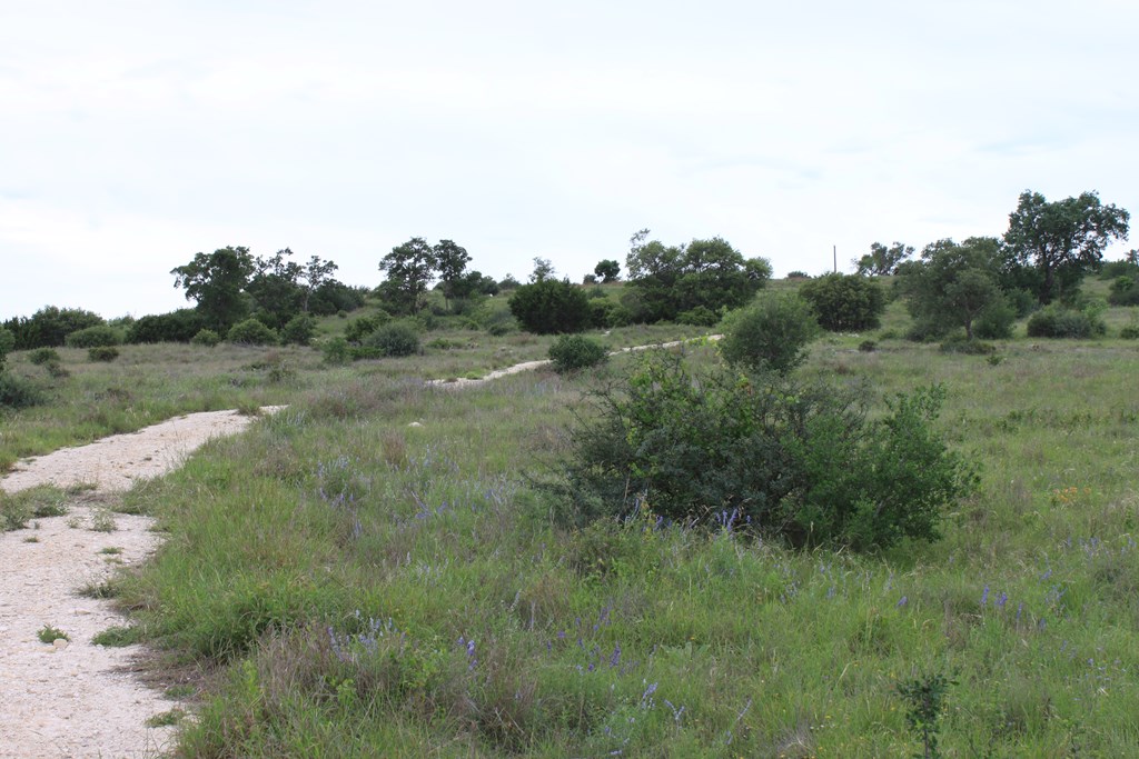 Tract 20 Oak Ridge Ranch Property Photo 19