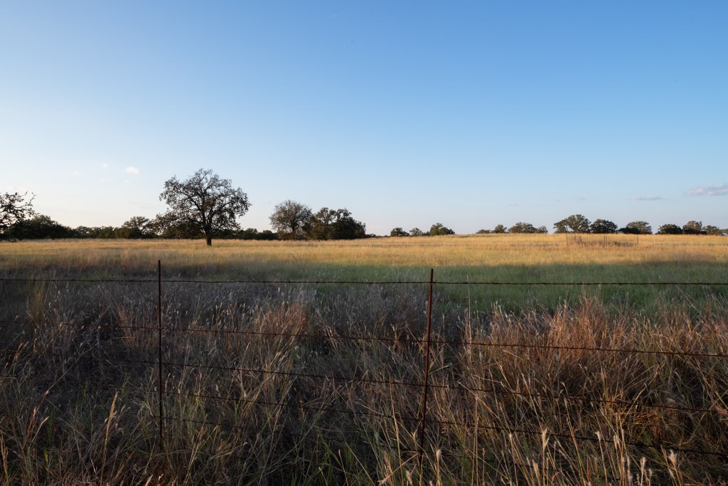 124502 Property Photo 4