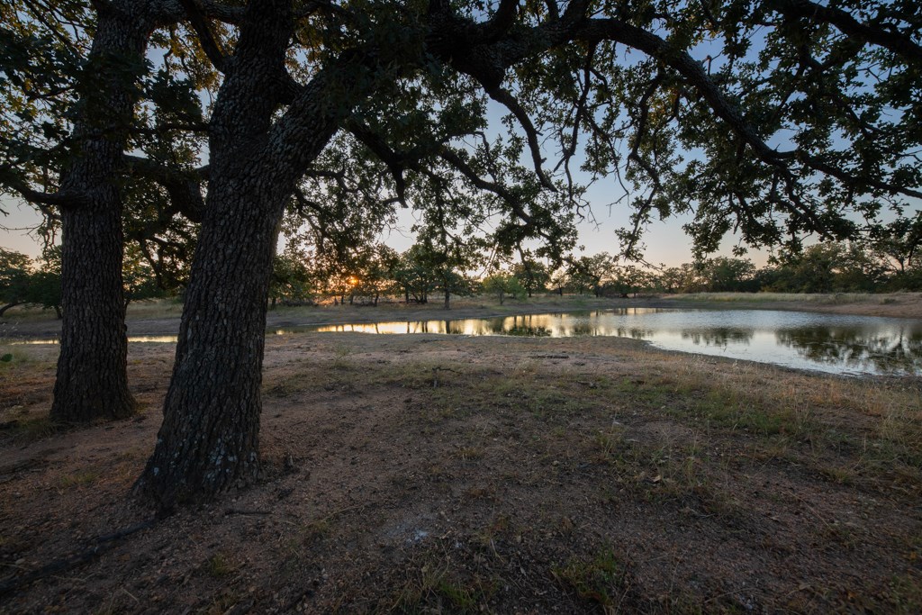 124502 Property Photo 10