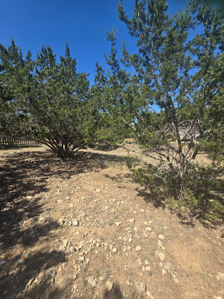 Lot 8 Pr 1514 # 8 Property Photo 4