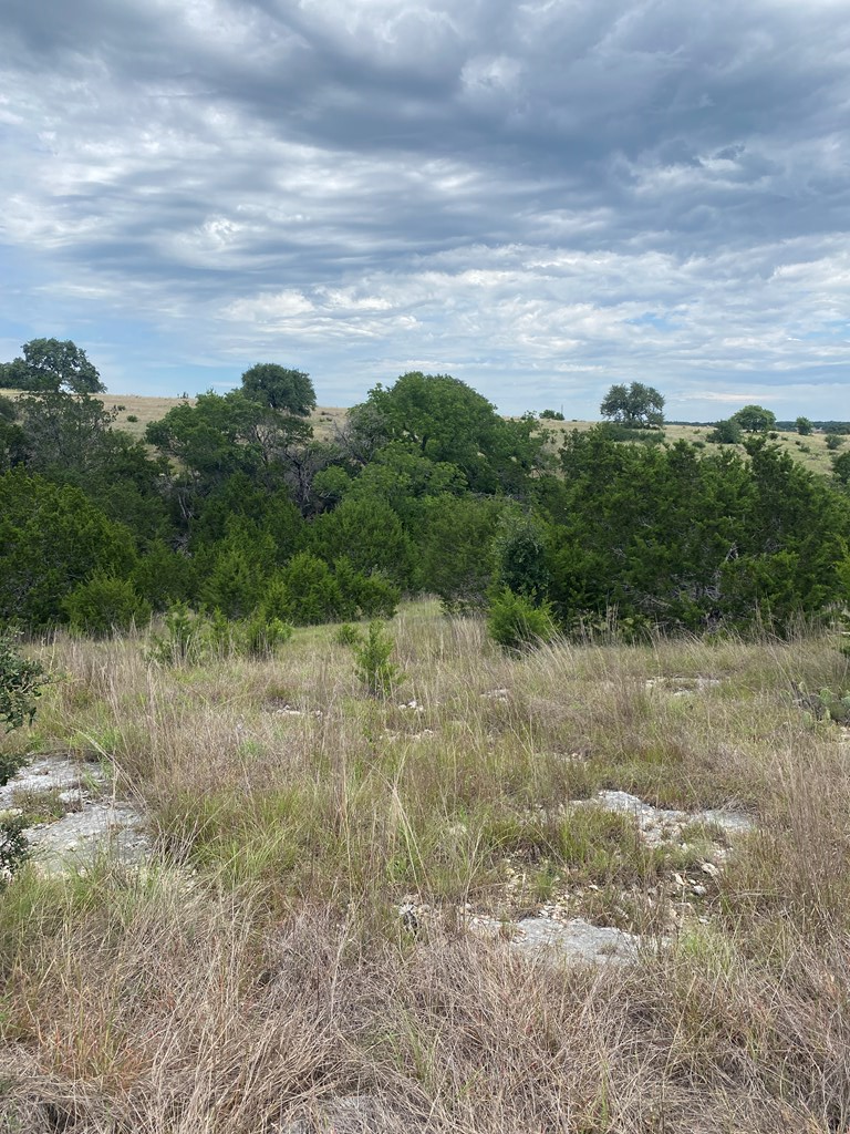 220 Dekoch Ridge # 124 Property Photo 13
