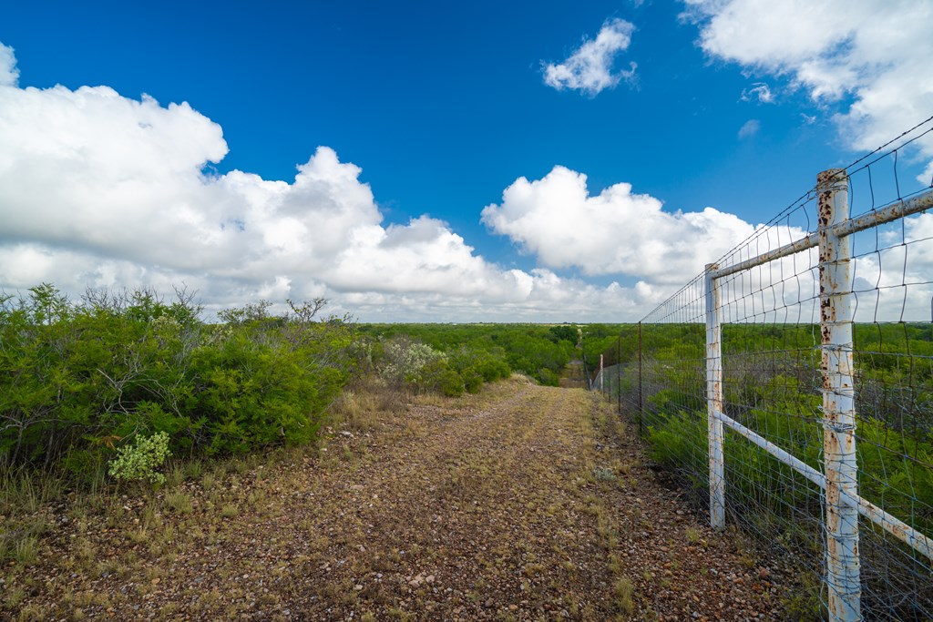 124628 Property Photo 7