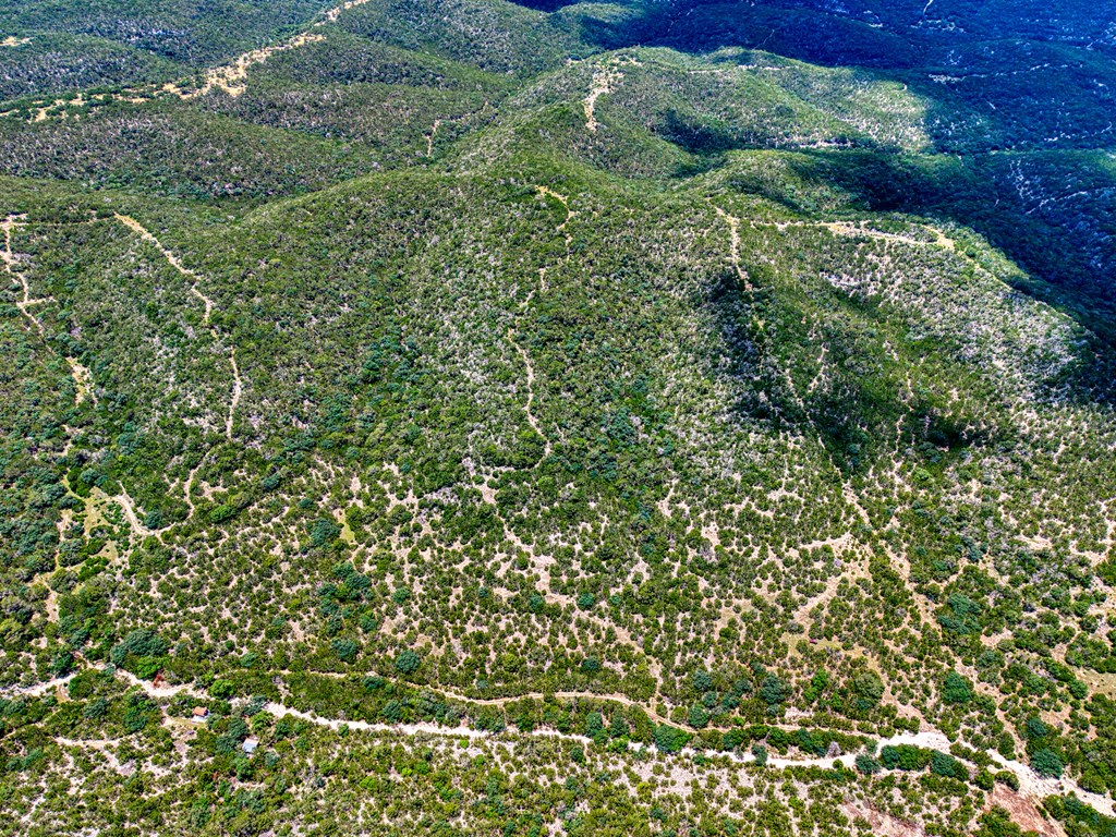 1702 Pinon Loop Property Photo 3