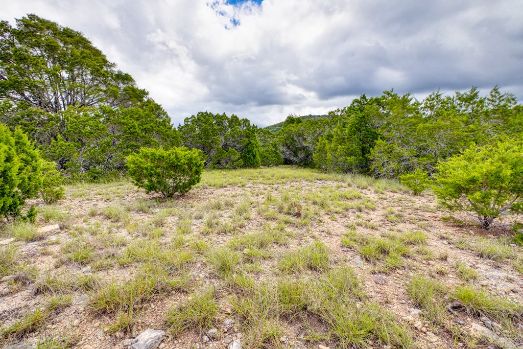 1702 Pinon Loop Property Photo 8