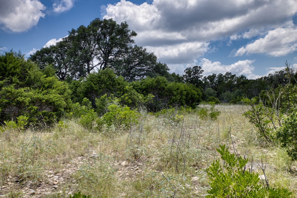 1702 Pinon Loop Property Photo 10
