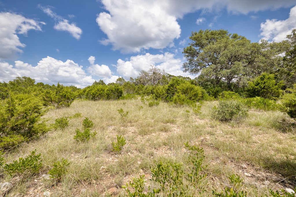 1702 Pinon Loop Property Photo 13