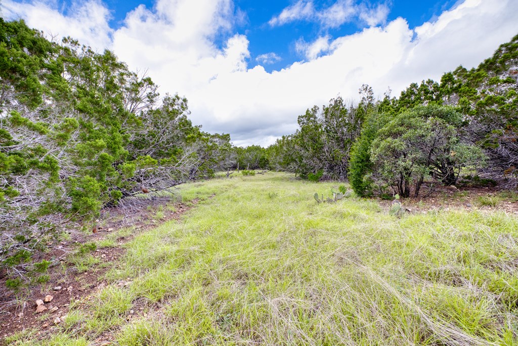 1702 Pinon Loop Property Photo 14