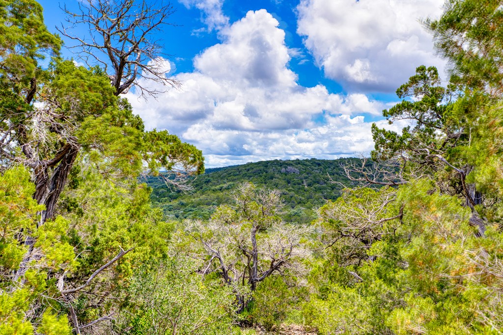1702 Pinon Loop Property Photo 18