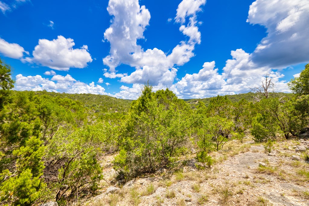 1702 Pinon Loop Property Photo 19