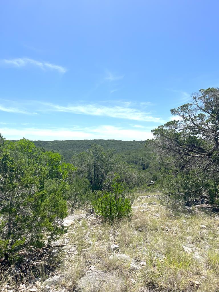 3835 Bluff Creek Rd Property Photo 1