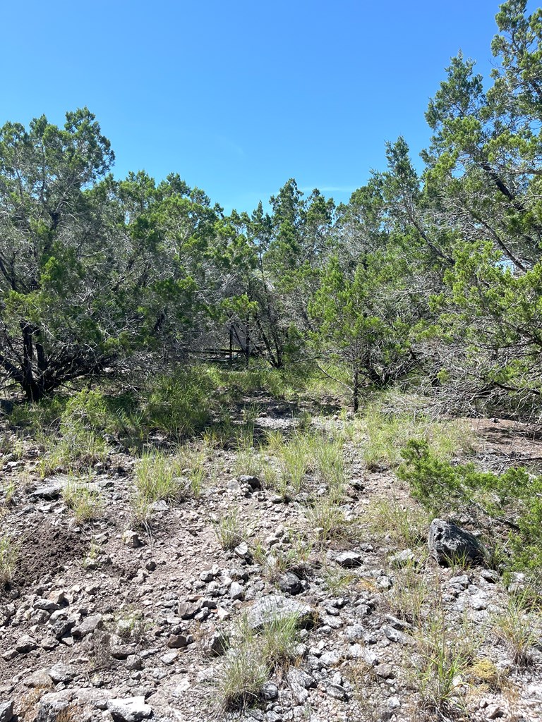 3835 Bluff Creek Rd Property Photo 4