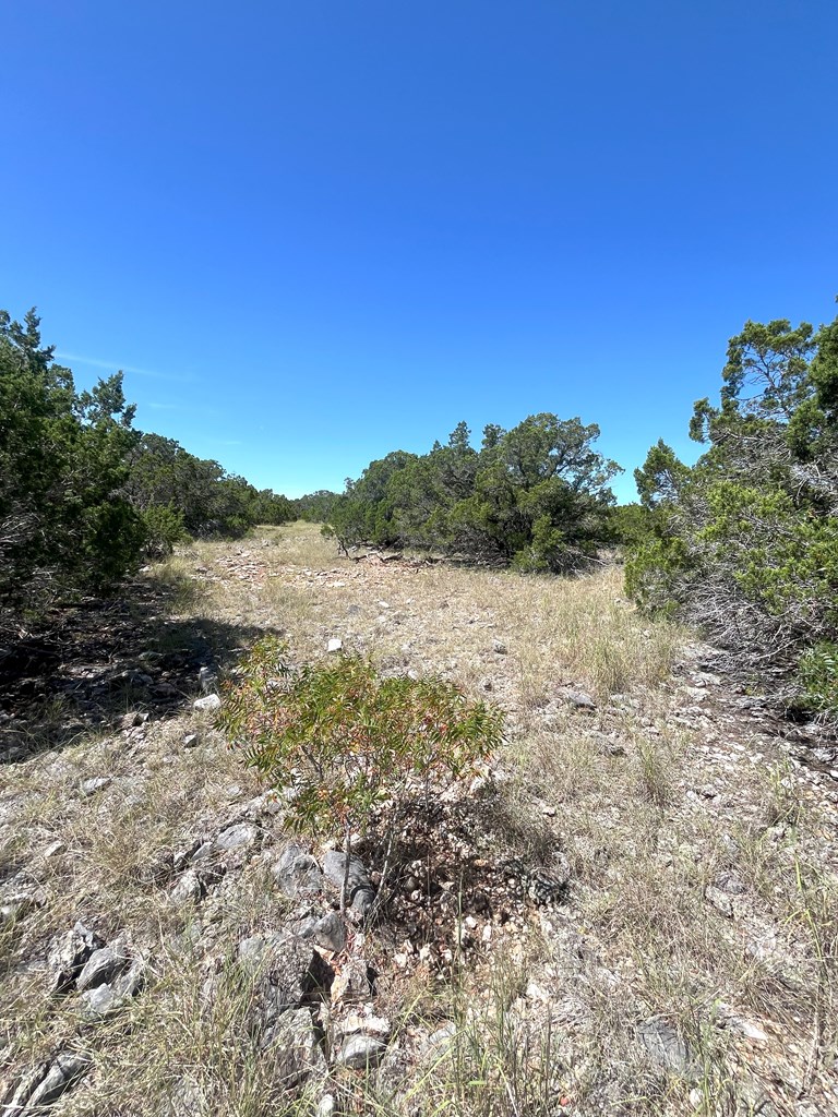 3835 Bluff Creek Rd Property Photo 7