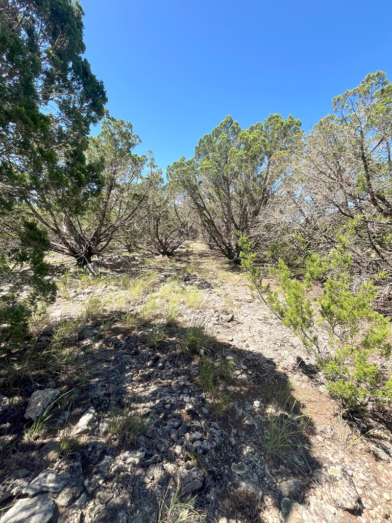 3835 Bluff Creek Rd Property Photo 9
