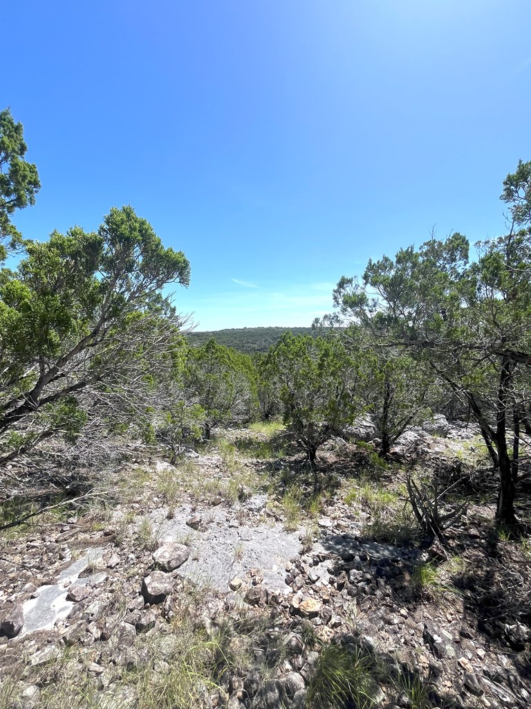 3835 Bluff Creek Rd Property Photo 18