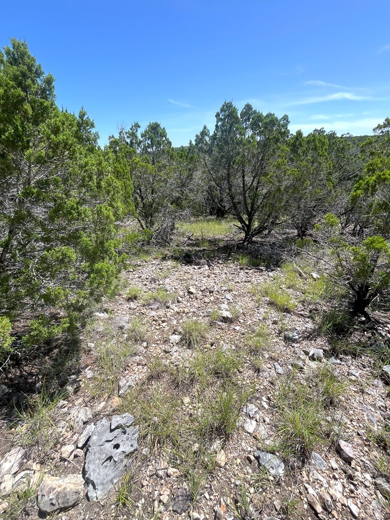 3835 Bluff Creek Rd Property Photo 20