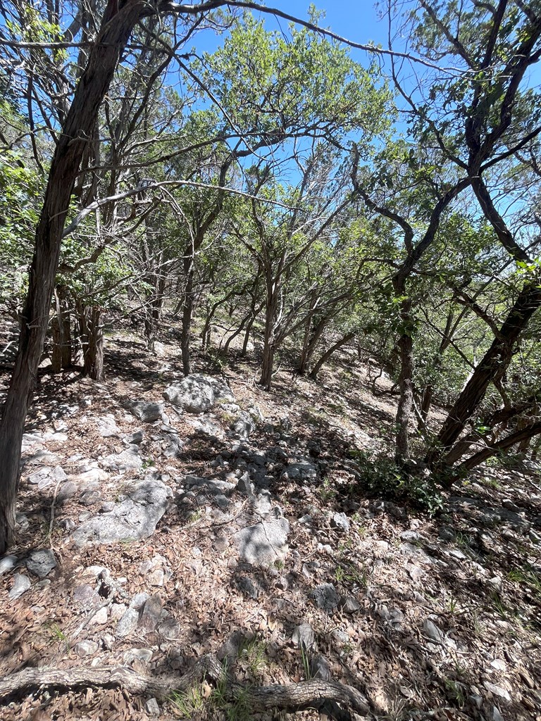 3835 Bluff Creek Rd Property Photo 25