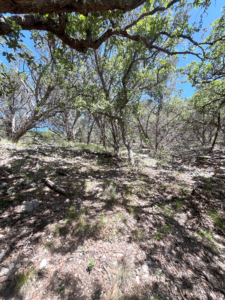 3835 Bluff Creek Rd Property Photo 26