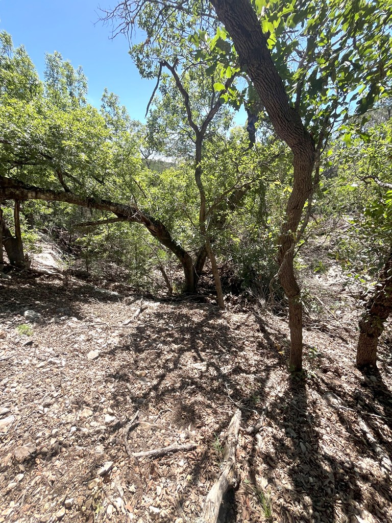 3835 Bluff Creek Rd Property Photo 27