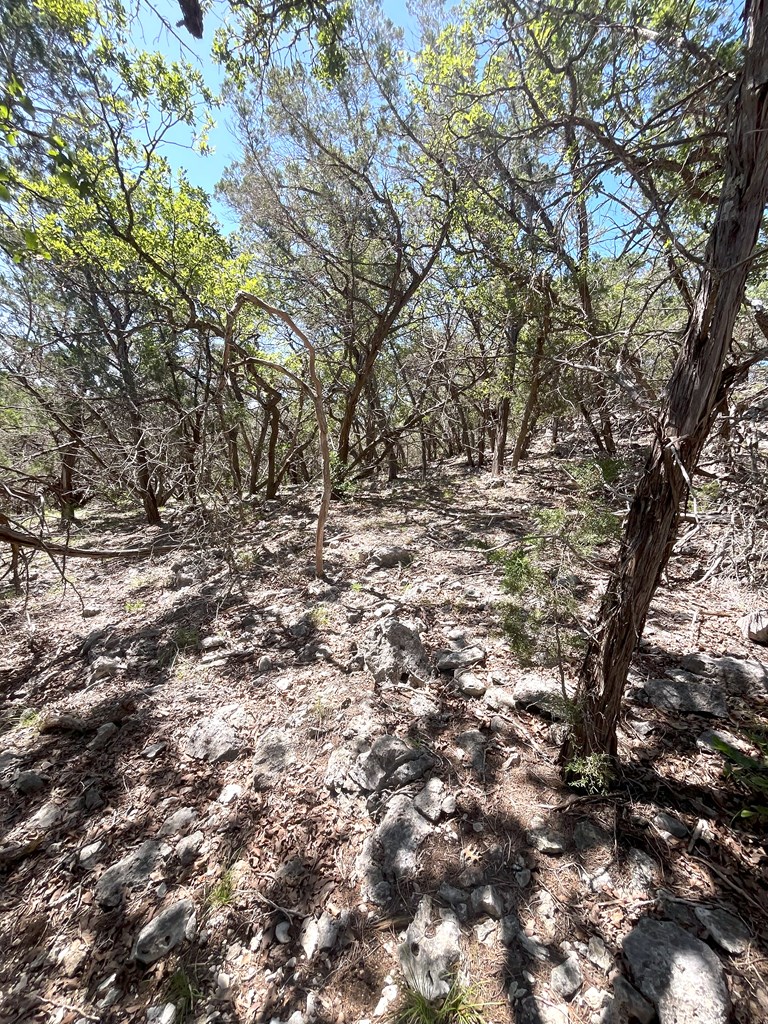 3835 Bluff Creek Rd Property Photo 31
