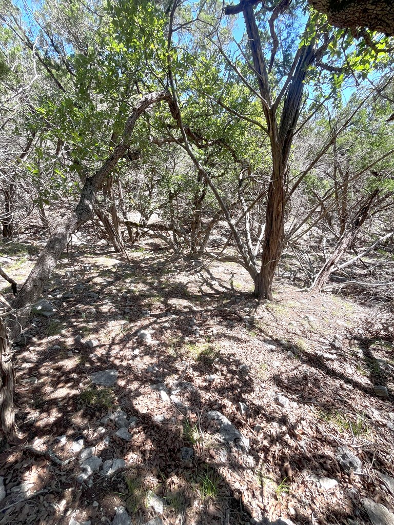 3835 Bluff Creek Rd Property Photo 32