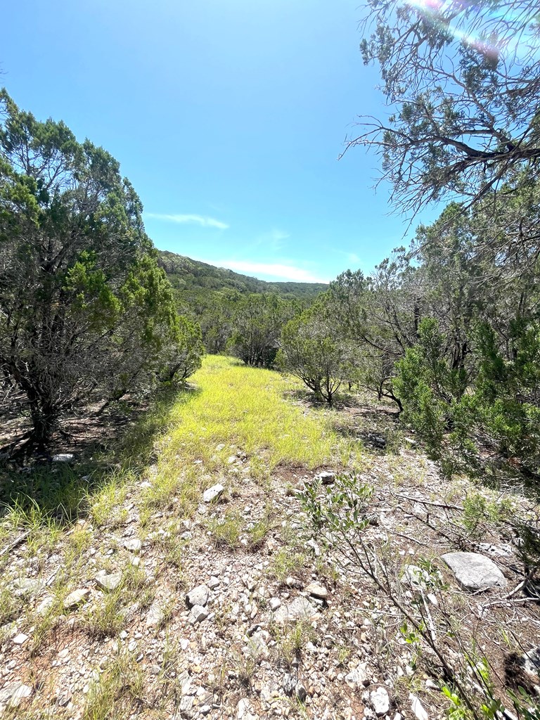 3835 Bluff Creek Rd Property Photo 34