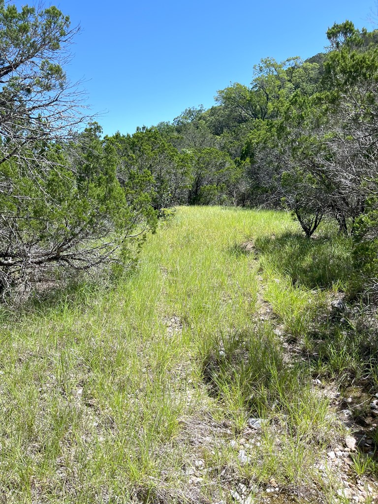 3835 Bluff Creek Rd Property Photo 35