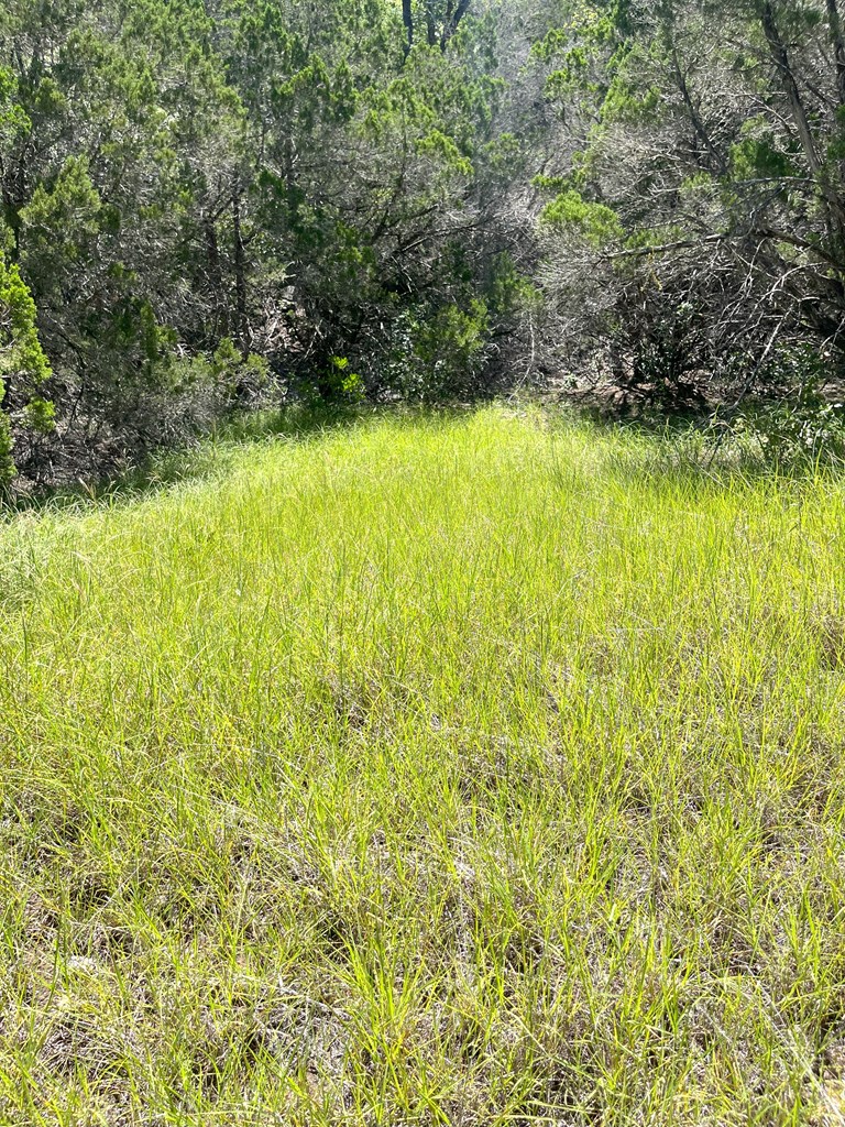 3835 Bluff Creek Rd Property Photo 37