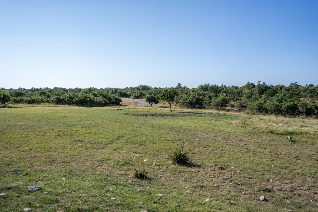 450 Jung Rd Property Photo 38