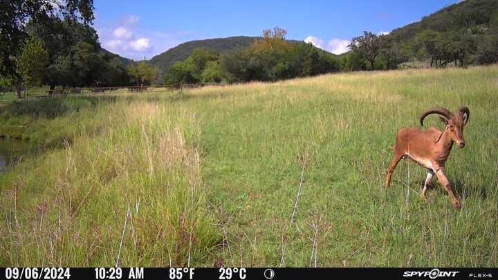 2242 Patterson Creek Rd Property Photo 66