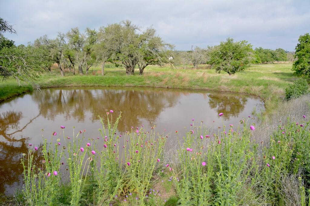 Tbd Fm 479 Property Photo 6