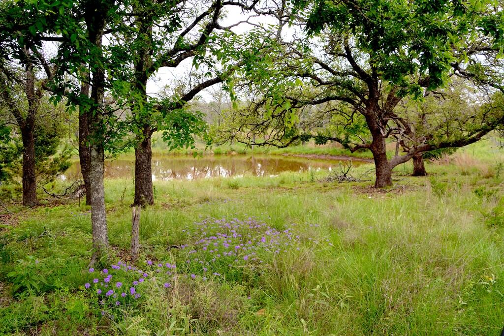 Tbd Fm 479 Property Photo 8