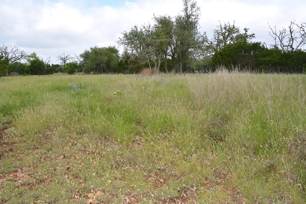 Tbd Fm 479 Property Photo 10