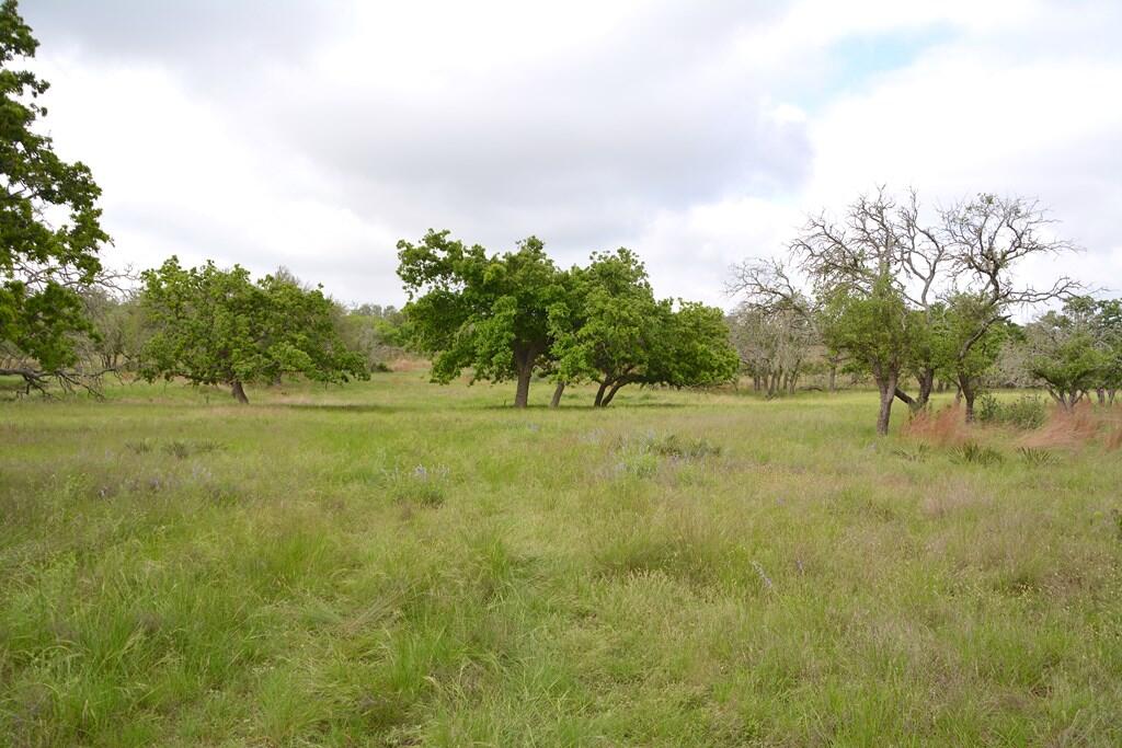 Tbd Fm 479 Property Photo 15