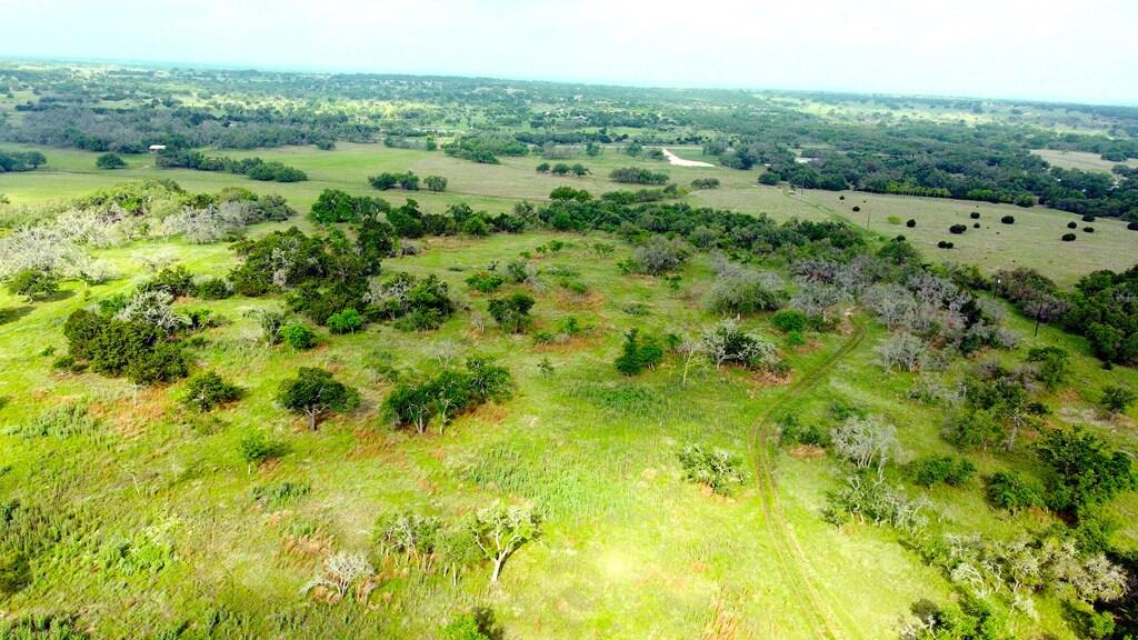 Tbd Fm 479 Property Photo 19