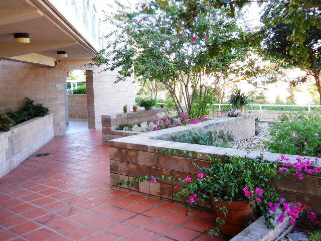 1006 Guadalupe St Property Photo 23
